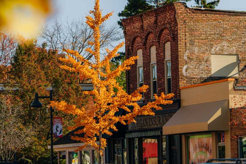 City of Fennville Meeting Schedule